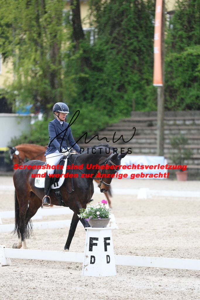 A40A8370 | lmwpictures - Realisiert mit Pictrs.com