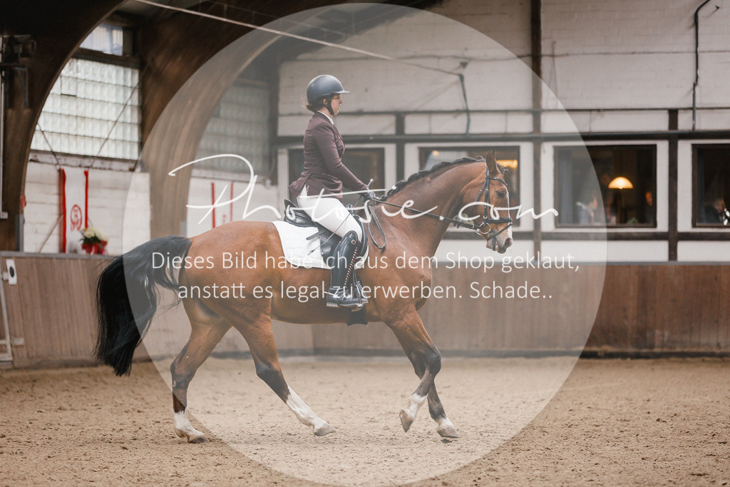 3I6A6902 | Stimmungsvolle Portraits und Reitsportfotografie im Ruhrgebiet und im Münsterland.

Pferdefotografie, Hundefotografie, Tierfotografie, Reportagen, Portraits von Tier und Mensch, Turnierfotografie in Bochum, Recklinghausen, Marl, Haltern am See, Dülmen.. - Realisiert mit Pictrs.com