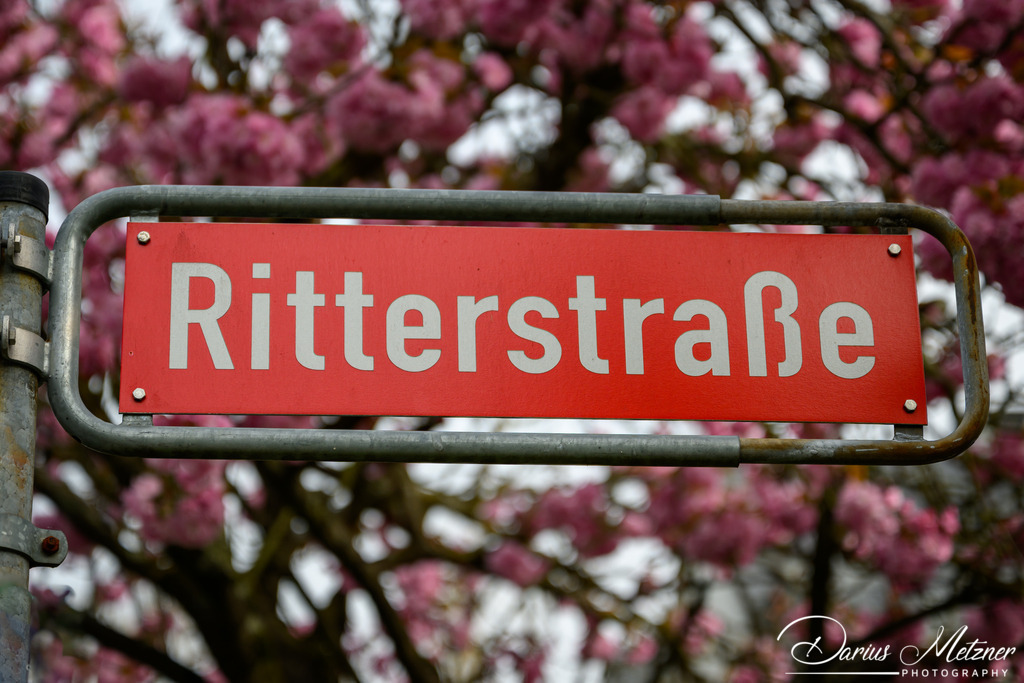 DSC_9388 | Fotografien, Fotos und Bilder aus Mainz, Frankfurt, Wiesbaden und anderen Orten auf der Welt - Fotografiert von Darius Metzner