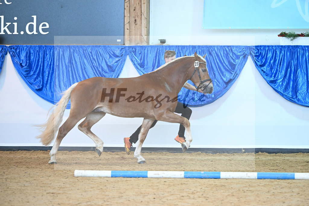 Kat-Nr. 28 Napoleon v. Nakuri_Lechner_60220813 | hf-fotografie - Realisiert mit Pictrs.com