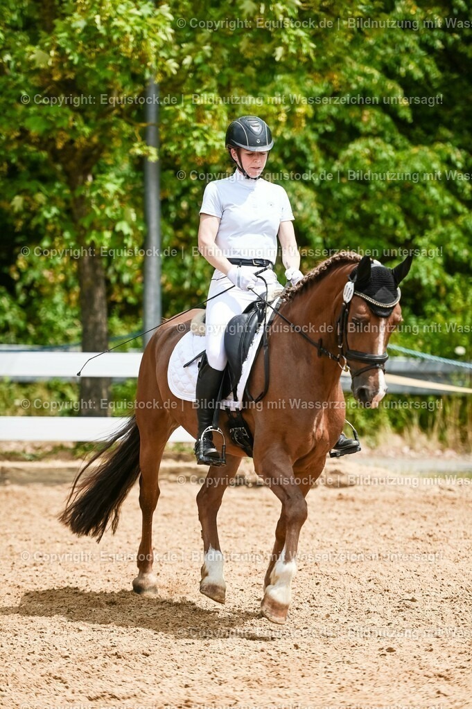 20230715_05_Dressurprüfung Kl.A++_0204 | equistock