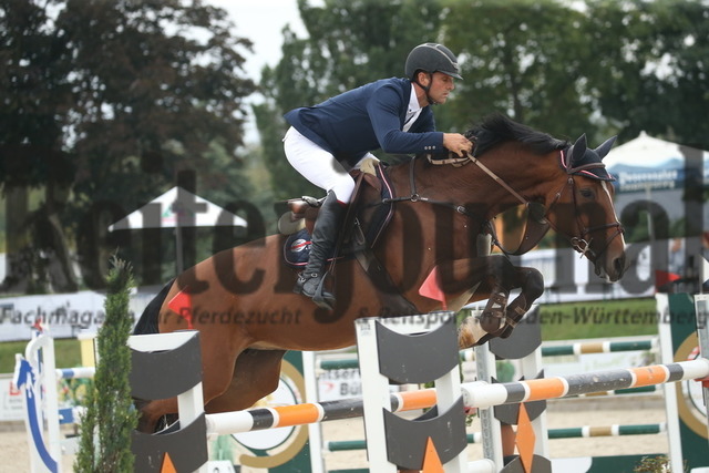 Durmersheim_2022_Prfg.Nr.04_Zwei-Phasen-Springen_Kl.S_Michael Herhalt_RG Ascona H (1) | Alle Fotos der Reiterjournal Fotografin Doris Matthaes im Reiterjournal Online-Fotoshop. - Realisiert mit Pictrs.com