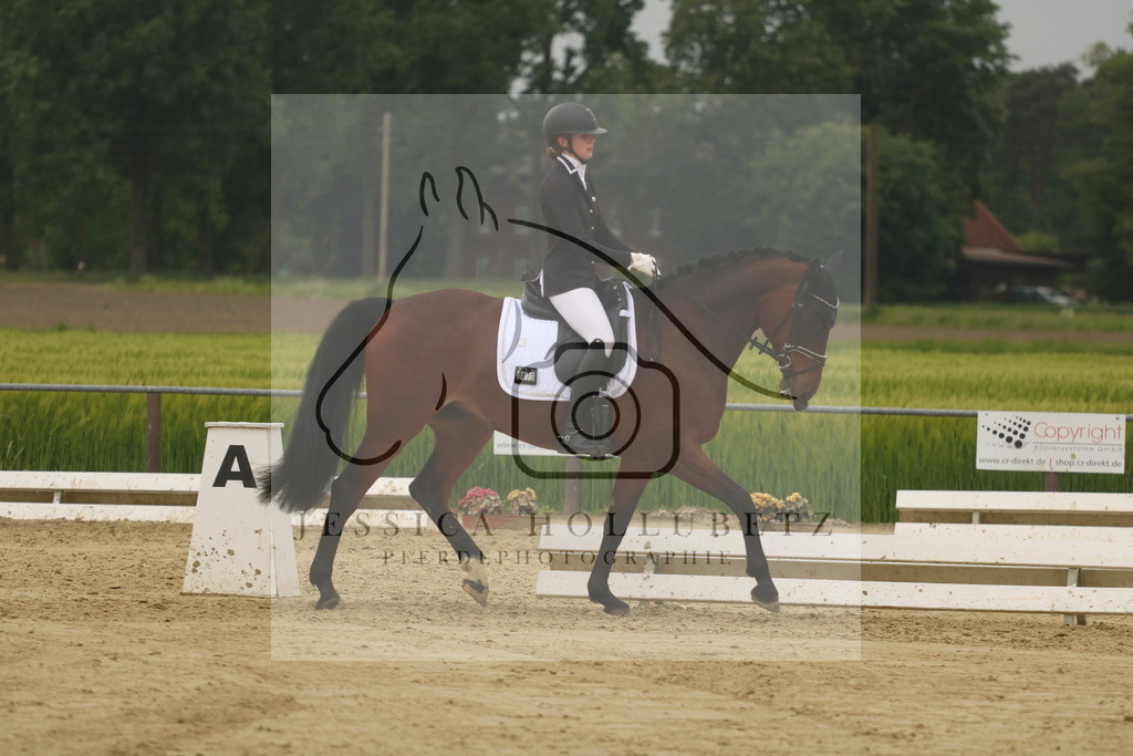 IMG_7015 | jessicahollubetz_pferdephotographie - Realisiert mit Pictrs.com
