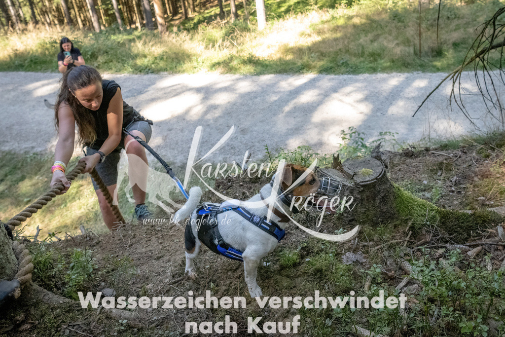 1224_ZZ94404 | kk-dogfotos