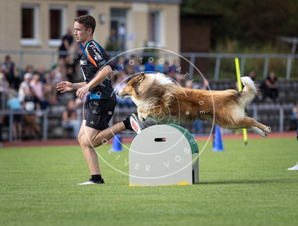 Pfotenfotografie_DV3A1221 | Hundefotografie, Tierfotograf, Pfotenfotografie, Fotoshooting Hund, Hunde Portrait, Hundesport, Hundeportraits, Heideshooting, Hunde, Sportfotograf, Hundefotograf, Turnierhundsport, THS,  - Realisiert mit Pictrs.com