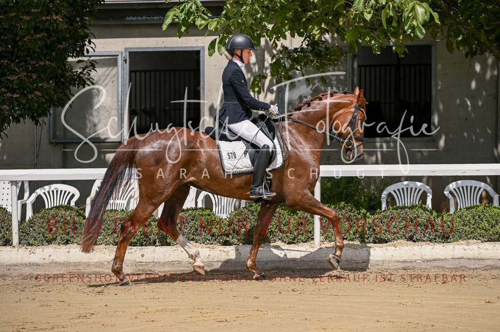 Schugtsche-Aluta25-48.Reitpferfdeprf.-82 | Schugtsche Fotografie - Realisiert mit Pictrs.com