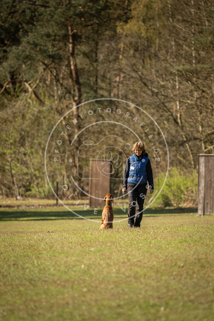Pfotenfotografie_DV3A0067 | Hundefotografie, Tierfotograf, Pfotenfotografie, Fotoshooting Hund, Hunde Portrait, Hundesport, Hundeportraits, Heideshooting, Hunde, Sportfotograf, Hundefotograf, Turnierhundsport, THS,  - Realisiert mit Pictrs.com