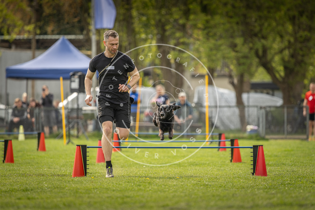 Pfotenfotografie_DV3A5969 | Hundefotografie, Tierfotograf, Pfotenfotografie, Fotoshooting Hund, Hunde Portrait, Hundesport, Hundeportraits, Heideshooting, Hunde, Sportfotograf, Hundefotograf, Turnierhundsport, THS,  - Realisiert mit Pictrs.com