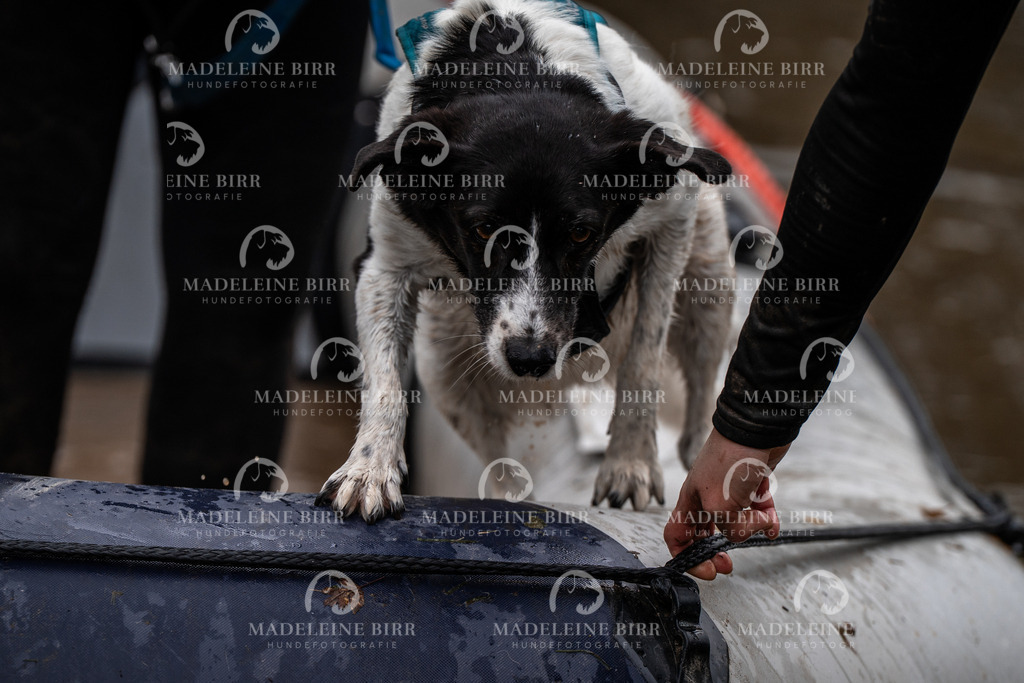 madeleinebirr-fotografie2025.campcanis.11-12Uhr-11 | hundefotografie-birr