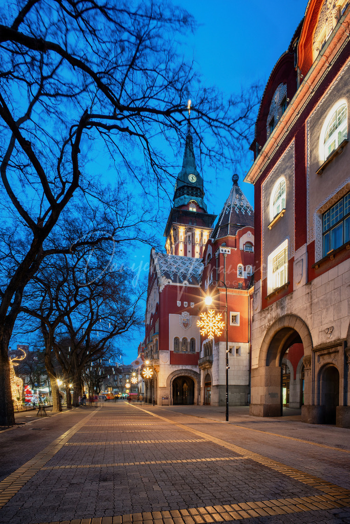 Subotica | Vor dem Rathaus von Subotica