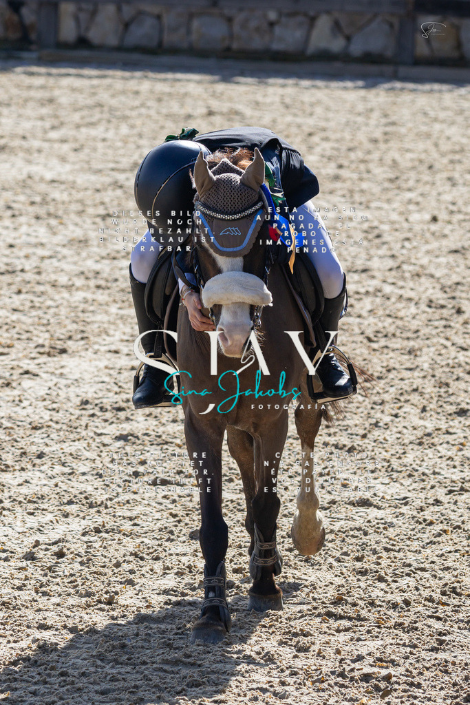 IMG_5599 | s-jay-photography - Realisiert mit Pictrs.com