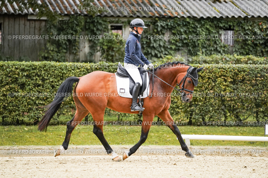 DSC06273 | Pferdegrafie