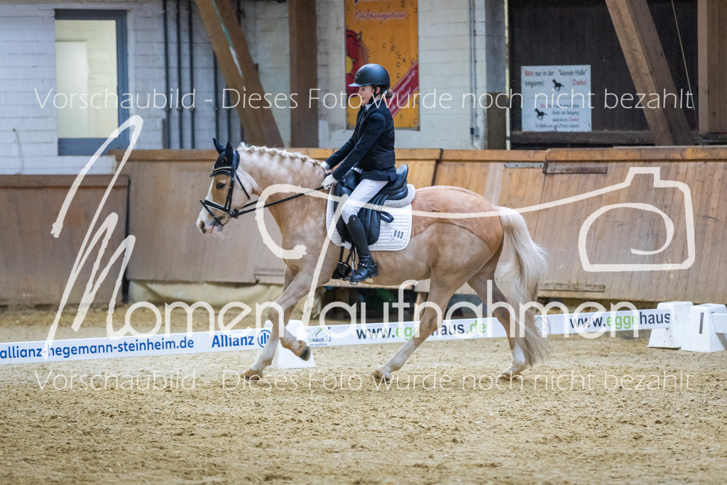 Sth-WBO25-EDr-077 | MomenTaufnahmen Pferdesportfotos