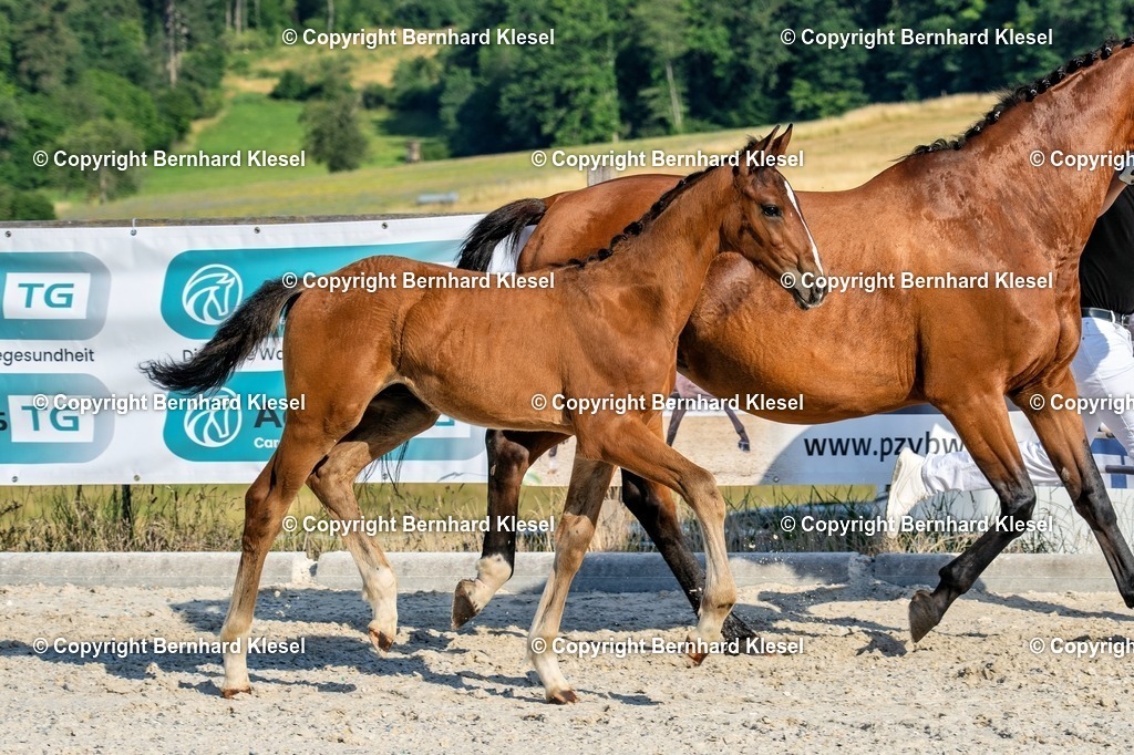 A1S07974 | foto-team-bernhard - Realisiert mit Pictrs.com
