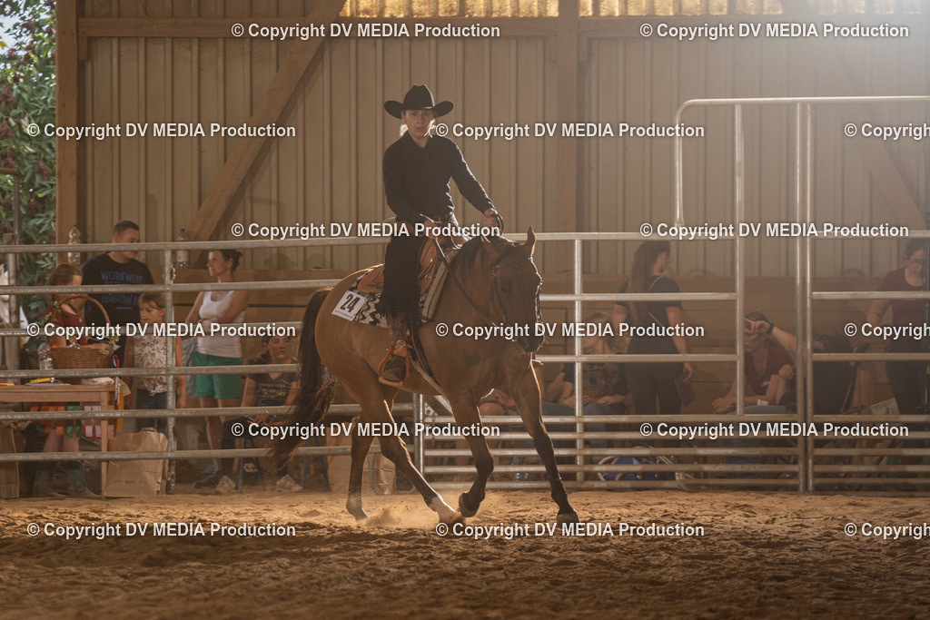 NID03676 | dv-media-shop - Realisiert mit Pictrs.com