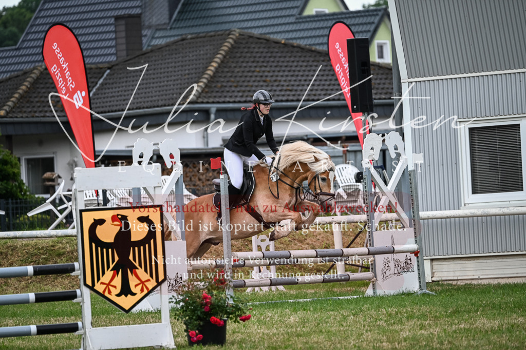 DSC_8389 | Pferde- und Turnierfotografie in Westsachsen. Pferdeportraits, Auftragszeichnungen und intuitive Kunst.