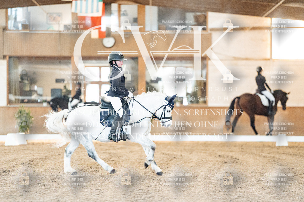 CK906418 | Turnierfotografie Pferdefotografie Trier Rheinland-Pfalz Pferdesport Reitsport Tierfotografie Sportfotografie Pferdevideo Pferdevideografie Equestrianvideography equestrianphotography  - Realisiert mit Pictrs.com