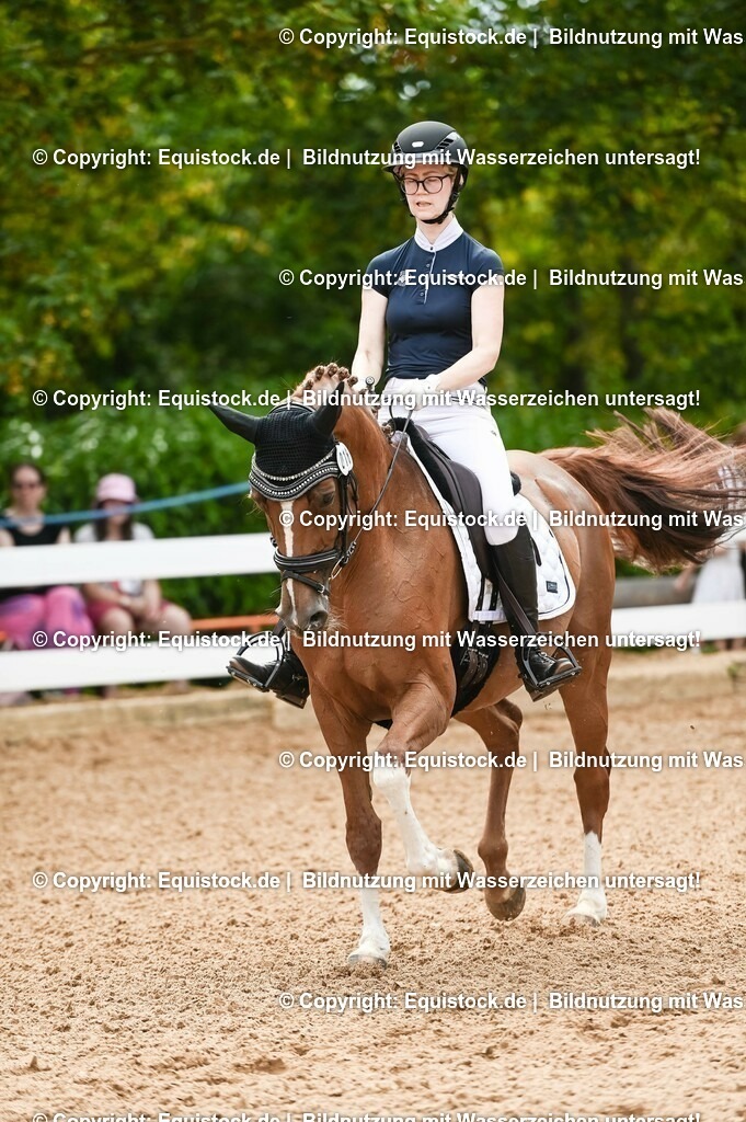 20230715_07_Dressurpferdeprfg. Kl.L_0082 | equistock