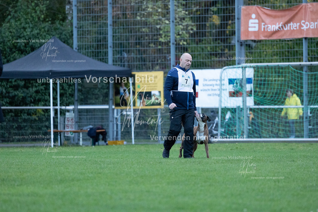 _16A4400 | Einzigartige Fotos von Hunden & Menschen –Actionfotos, Portraits, Vereinsaufnahmen & Paarshootings – authentisch, lebendig & mit Herz.