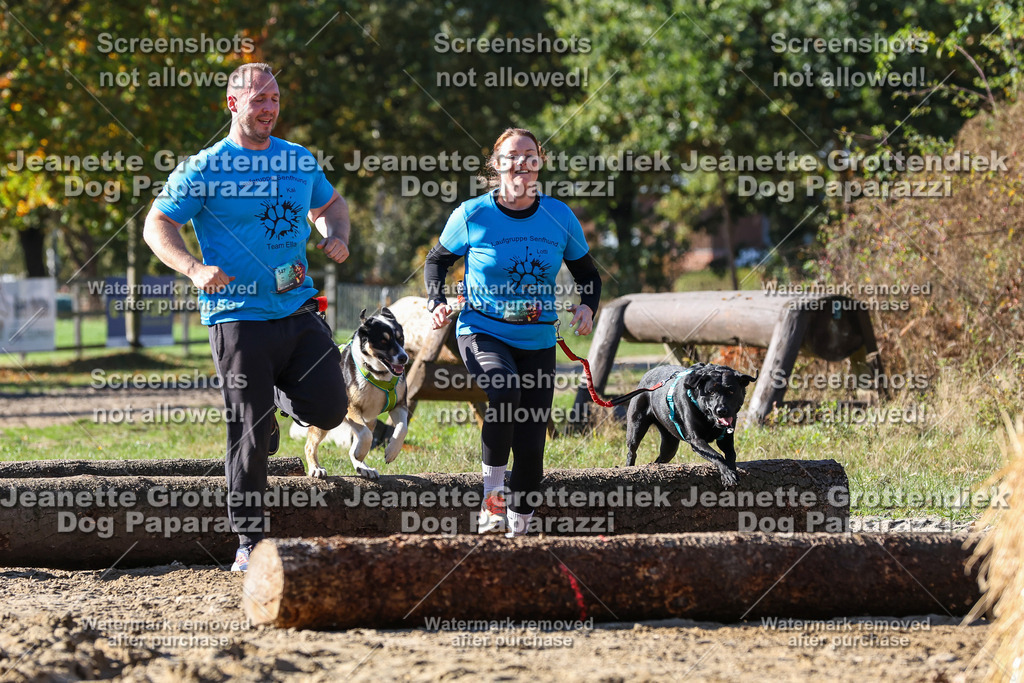 Dog Paparazzi - Strongdog 10-25-2813 | Dog Paparazzi Jeanette Grottendiek Fotografie & Videografie - Realisiert mit Pictrs.com