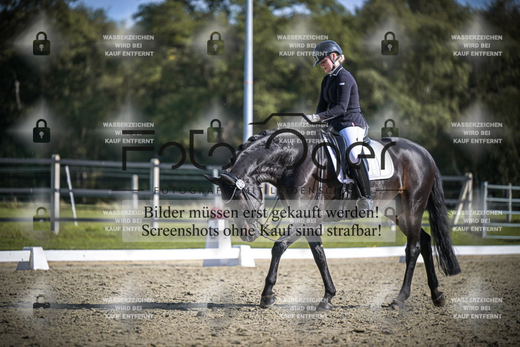 DOS_1447 | Entdecke hochwertige Reitturnierfotos von Foto Oger. Professionell, emotional und authentisch – jetzt Lieblingsmomente im Shop bestellen.Deutschlandweite Turnierfotografie. - Realisiert mit Pictrs.com