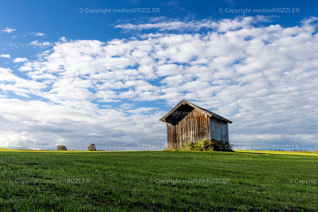 _J3A8926 | medienkrizzler - Realisiert mit Pictrs.com