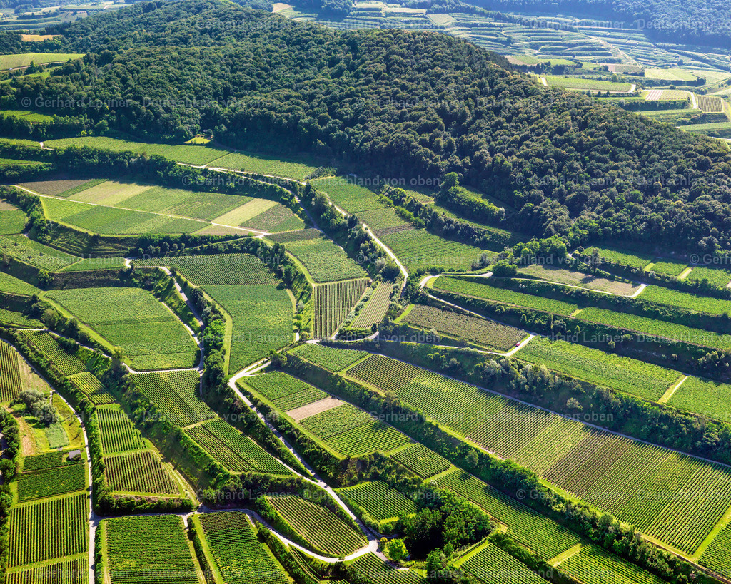 2700066 | Weinbergstrukturen bei Bischoffingen, Kaiserstuhl