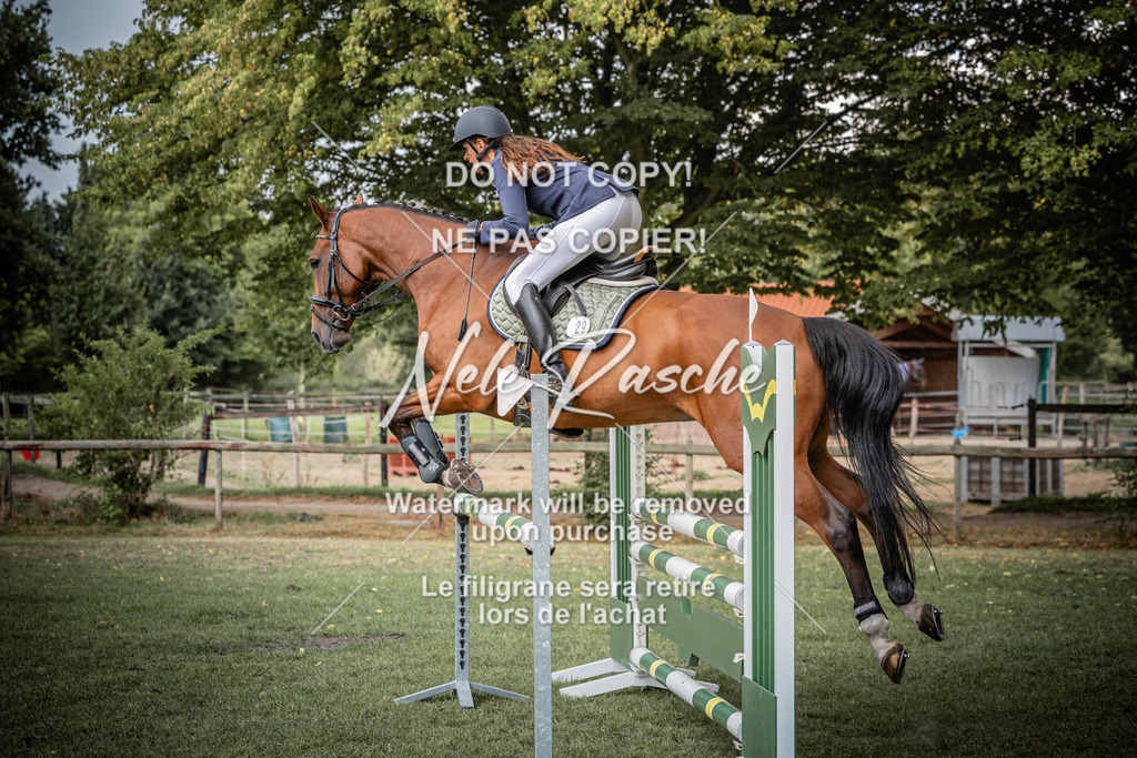 nelerasche_SprA__100Ede_17 | nelerasche