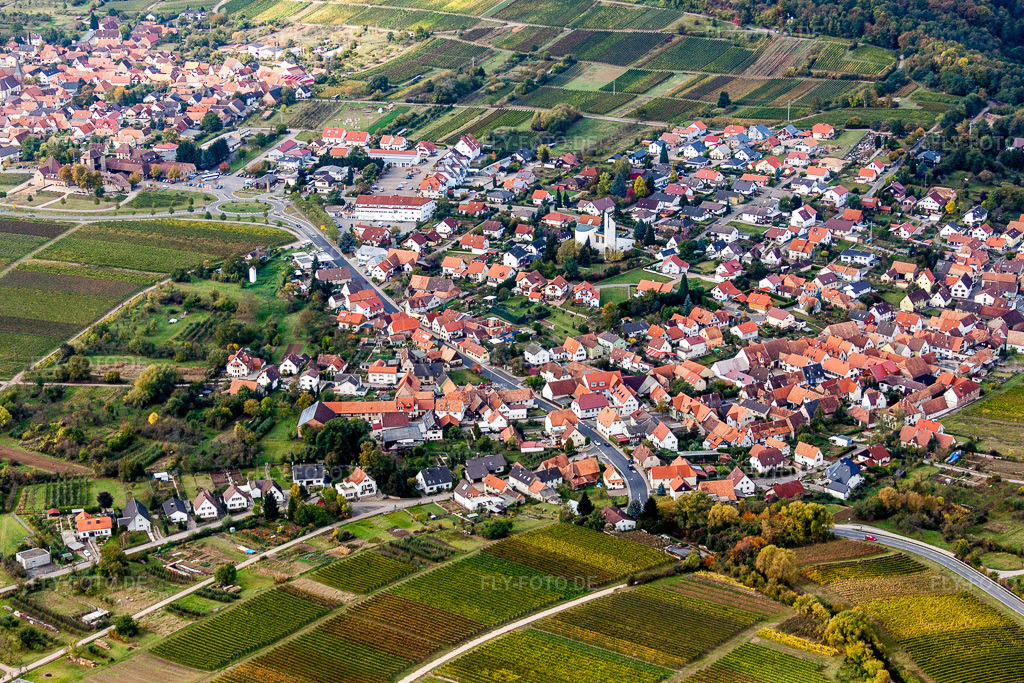Luftbild: Weinbergen und Wald in Rechtenbach im Ortsteil Rechtenbach in Schweigen-Rechtenbach im Bundesland Rheinland-Pfalz in Deutschland. Foto: IMG_22449.jpg vom 15.10.2009 durch Werner Riehm/FLY-FOTO.de