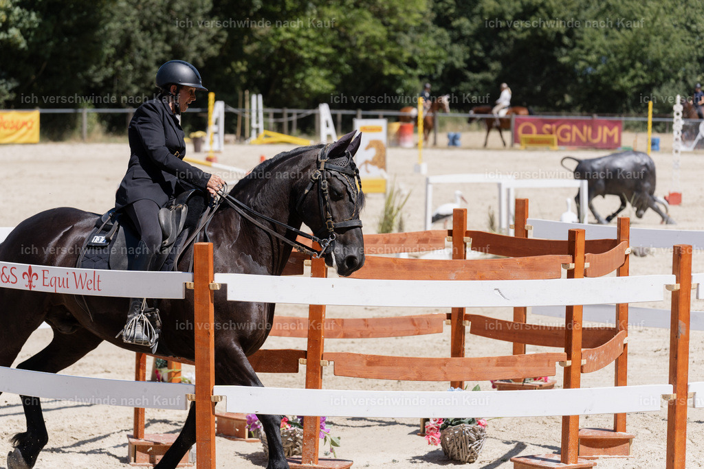 WM_SP_132_SinaFilmArt_IN06903 | working equitationturnier fotograf videograf stoibphotography marixx film working equitation deutschland reitsport turnierfotografie eventfotografie equestrian events