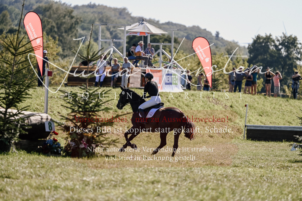 DSC_3437 | Pferde- und Turnierfotografie in Westsachsen. Pferdeportraits, Auftragszeichnungen und intuitive Kunst.