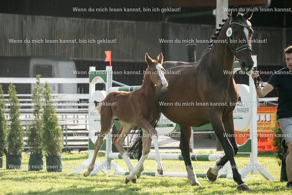 598A7360 | photographylinaismer - Realisiert mit Pictrs.com