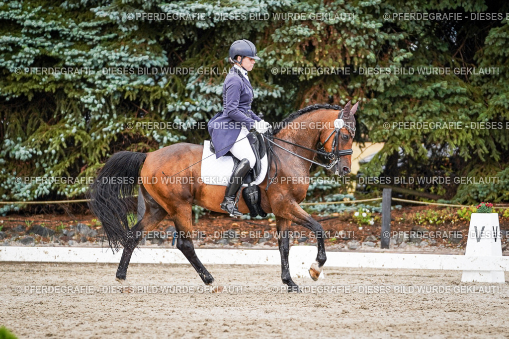 DSC00195 | Pferdegrafie