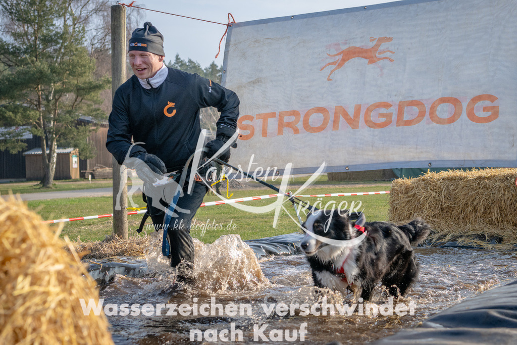 _ZZ91324 | kk-dogfotos