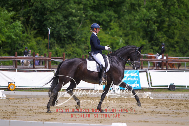 DKP40612 | Turniersportfotografie; Pferdefotografie; Dressurfotografie