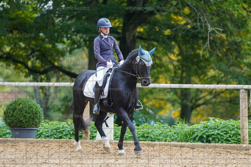 20221008-FAH01022 | Diessen am Ammersee, 2022, Dressur- und Springturnier, Reitsportbilder, Turnierfotografen Bayern, Pferdefotografen, Fotoagentur Herrmann, Turnierbilder