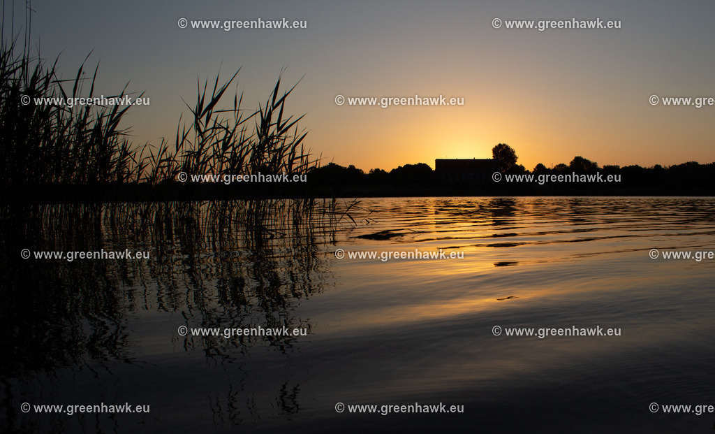 IMG_0823 | Greenhawks Bilder Shop für Landschaften, Urban, Tiere und weiteres als Poster Leinwand oder Fotogeschenk für Ostern Weihnachten oder Geburtstag  - Realisiert mit Pictrs.com