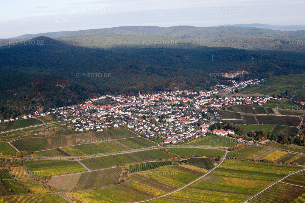 Luftbild: Ortsansicht aus Südosten im Ortsteil Königsbach in Neustadt im Bundesland Rheinland-Pfalz in Deutschland. Foto: IMG_22046.jpg vom 15.10.2009 durch Werner Riehm/FLY-FOTO.de