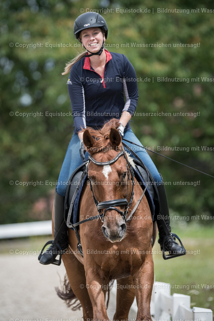 TS_20170813_Galopp_Fuchs_0001 1 | Foto: Thomas Hartig