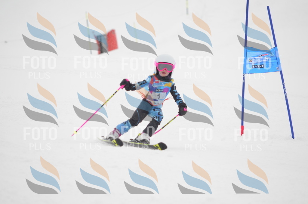 C0512 | holidayphoto