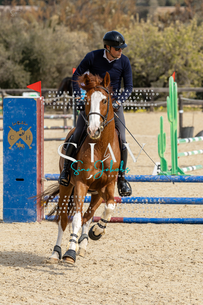 IMG_3225 | s-jay-photography - Realized with Pictrs.com