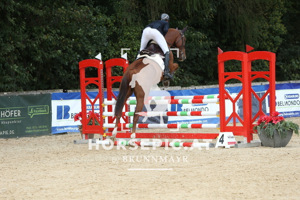 DL2Q1482 | Willkommen bei Brunnmayr - Design & Fotografie – Ihrem Spezialisten für Reitturniere und Pferdeveranstaltungen in Oberösterreich, Salzburg und Bayern! Seit über 17 Jahren sind wir leidenschaftlich dabei.