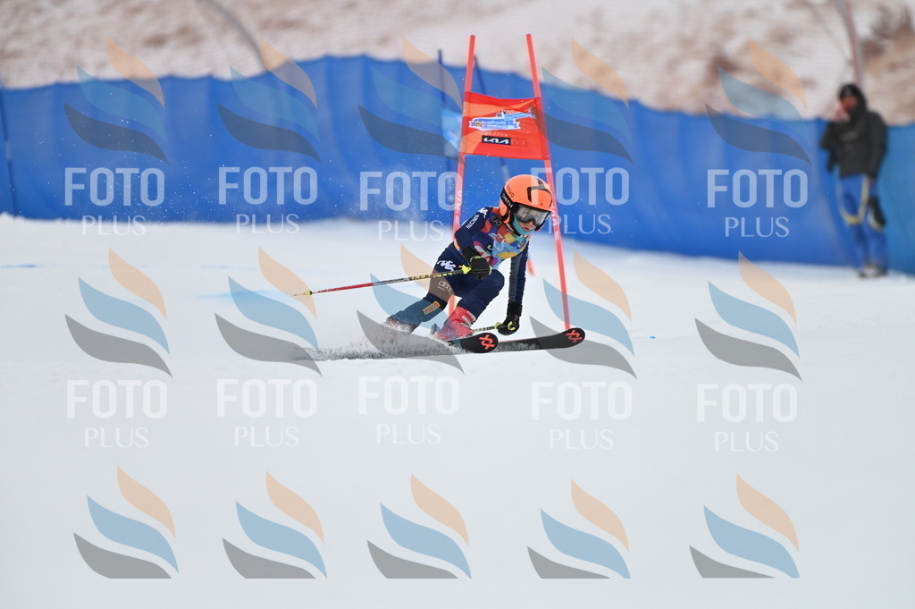 BGV_9378 | holidayphoto