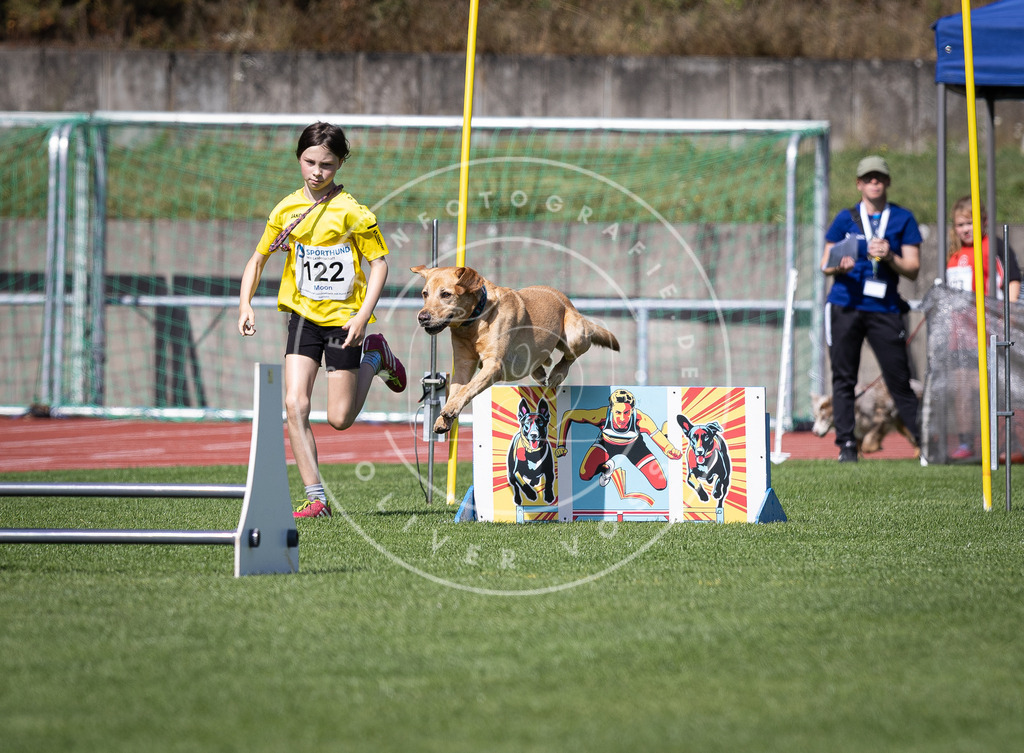 Pfotenfotografie_DV3A8505 | Hundefotografie, Tierfotograf, Pfotenfotografie, Fotoshooting Hund, Hunde Portrait, Hundesport, Hundeportraits, Heideshooting, Hunde, Sportfotograf, Hundefotograf, Turnierhundsport, THS,  - Realisiert mit Pictrs.com