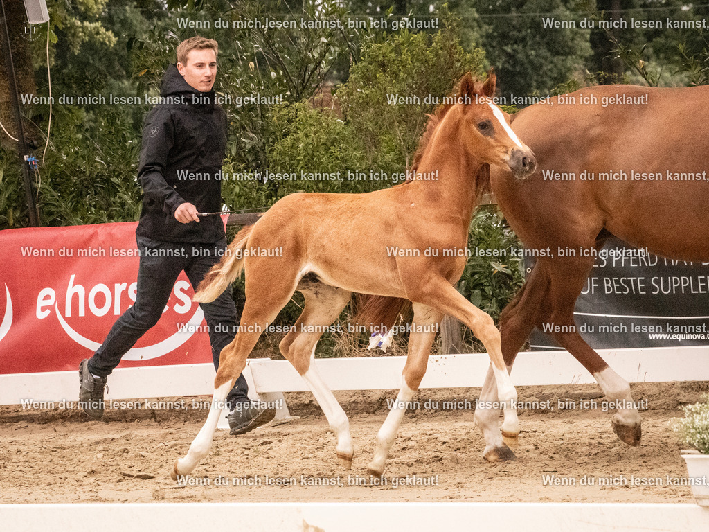 A10I0678 | photographylinaismer - Realisiert mit Pictrs.com