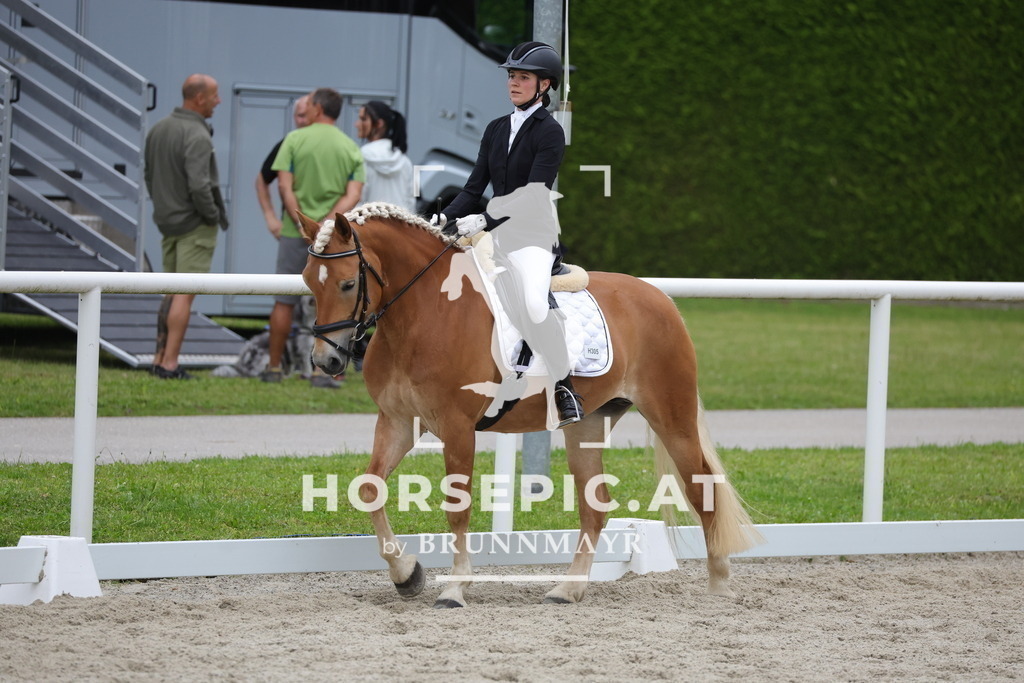 0P6A7096 | Willkommen bei Brunnmayr - Design & Fotografie – Ihrem Spezialisten für Reitturniere und Pferdeveranstaltungen in Oberösterreich, Salzburg und Bayern! Seit über 17 Jahren sind wir leidenschaftlich dabei.