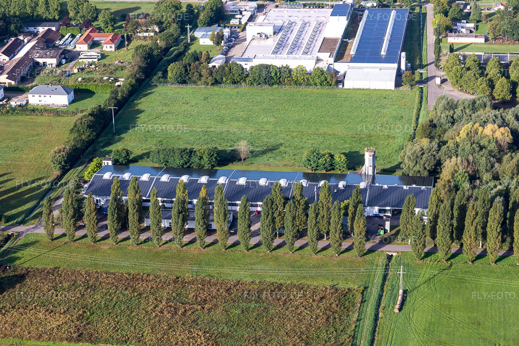 Luftbild: Cactus Druck & Verlags-GmbH im Ortsteil Schaidt in Wörth im Bundesland Rheinland-Pfalz in Deutschland. Foto: IMG_129743.jpg vom 30.09.2021 durch Werner Riehm/FLY-FOTO.de