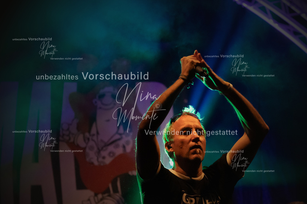 _16A8582-1 | Einzigartige Fotos von Hunden & Menschen –Actionfotos, Portraits, Vereinsaufnahmen & Paarshootings – authentisch, lebendig & mit Herz.