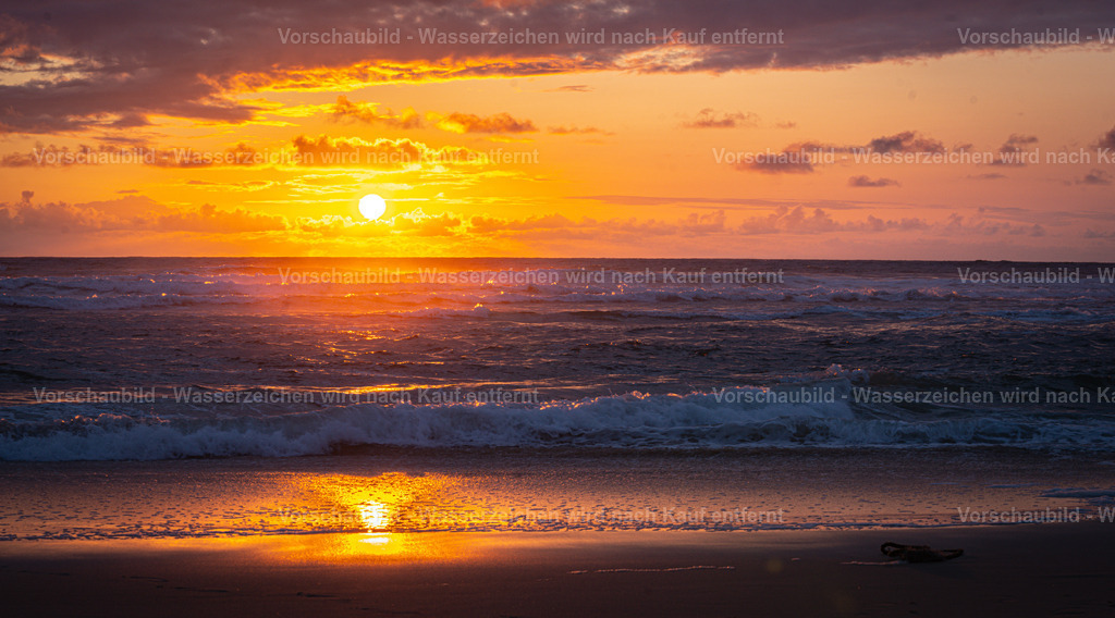 DSC02040 | marcuslinek