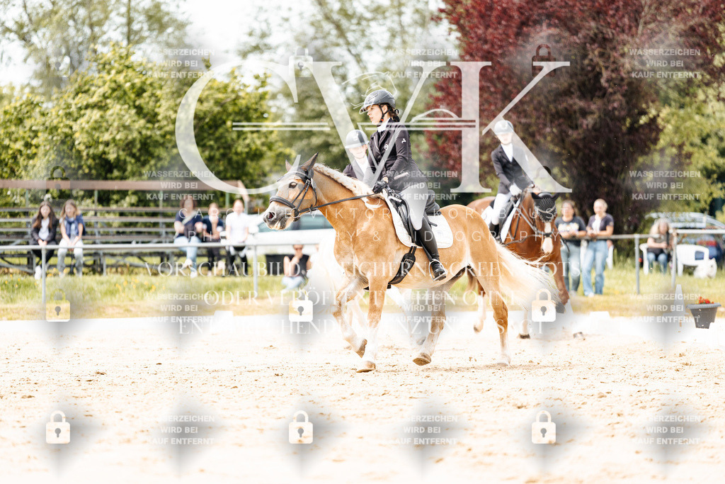 CK902268 | Turnierfotografie Pferdefotografie Trier Rheinland-Pfalz Pferdesport Reitsport Tierfotografie Sportfotografie Pferdevideo Pferdevideografie Equestrianvideography equestrianphotography  - Realisiert mit Pictrs.com